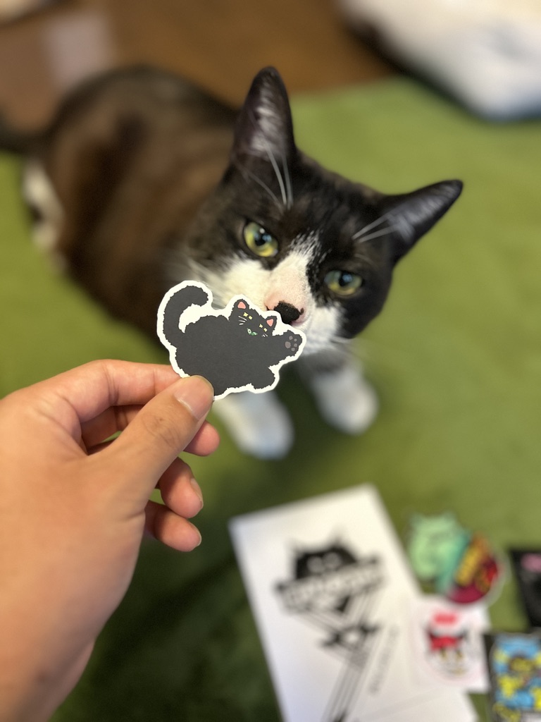 保護猫カフェCAPOT tweet media