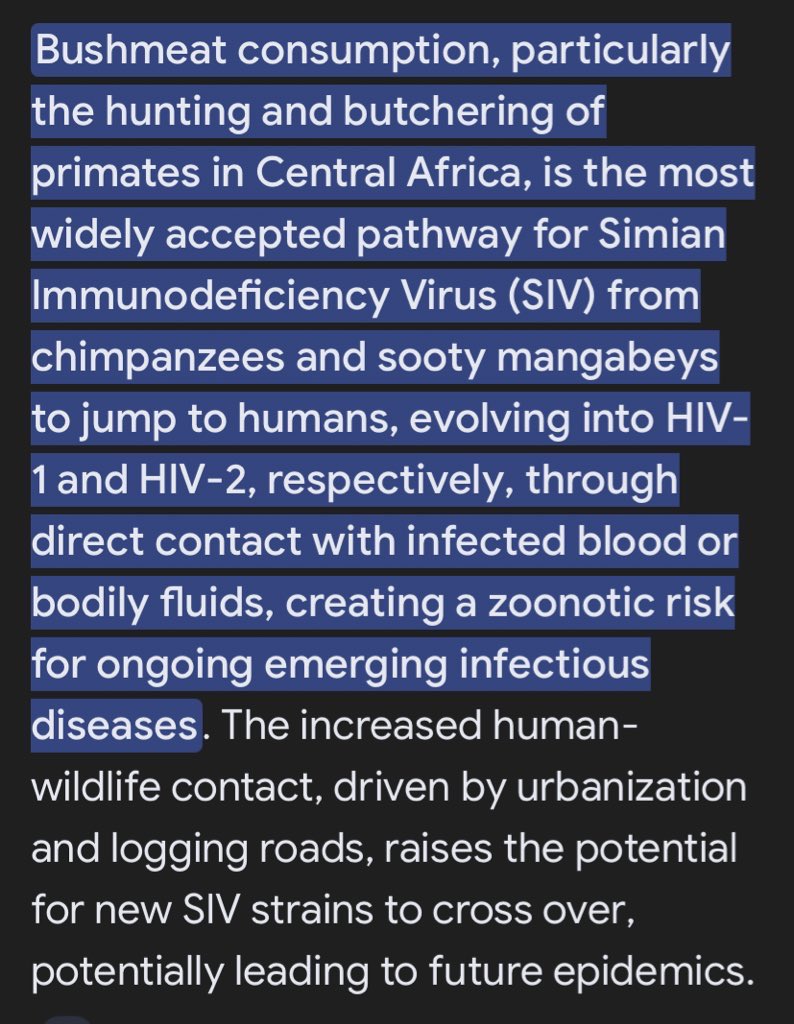 TiJee Mconnellet tweet media