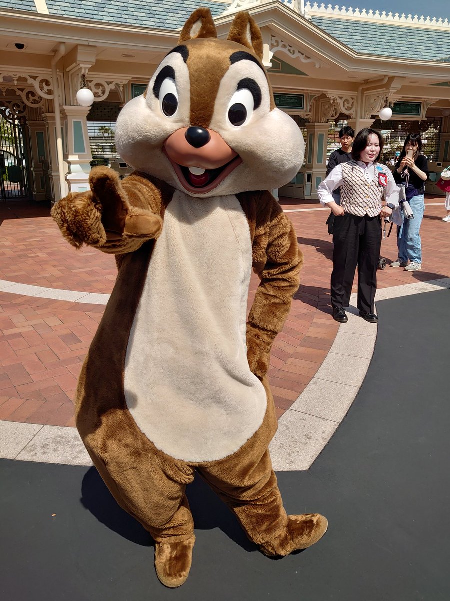 penta1007's tweet photo. いつも通りのリスまみれ https://t.co/0xI5vjLZO0