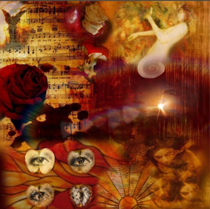 𝕷𝓲𝓪🍂 tweet media