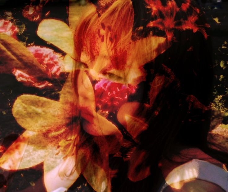 𝕷𝓲𝓪🍂 tweet media