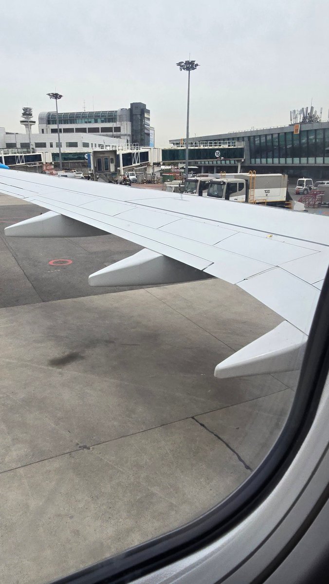 냐옹 김덕배 tweet media