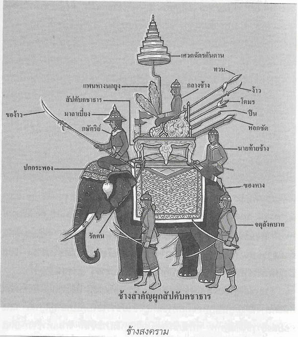Daisy & Desire🌼 (rest) tweet media