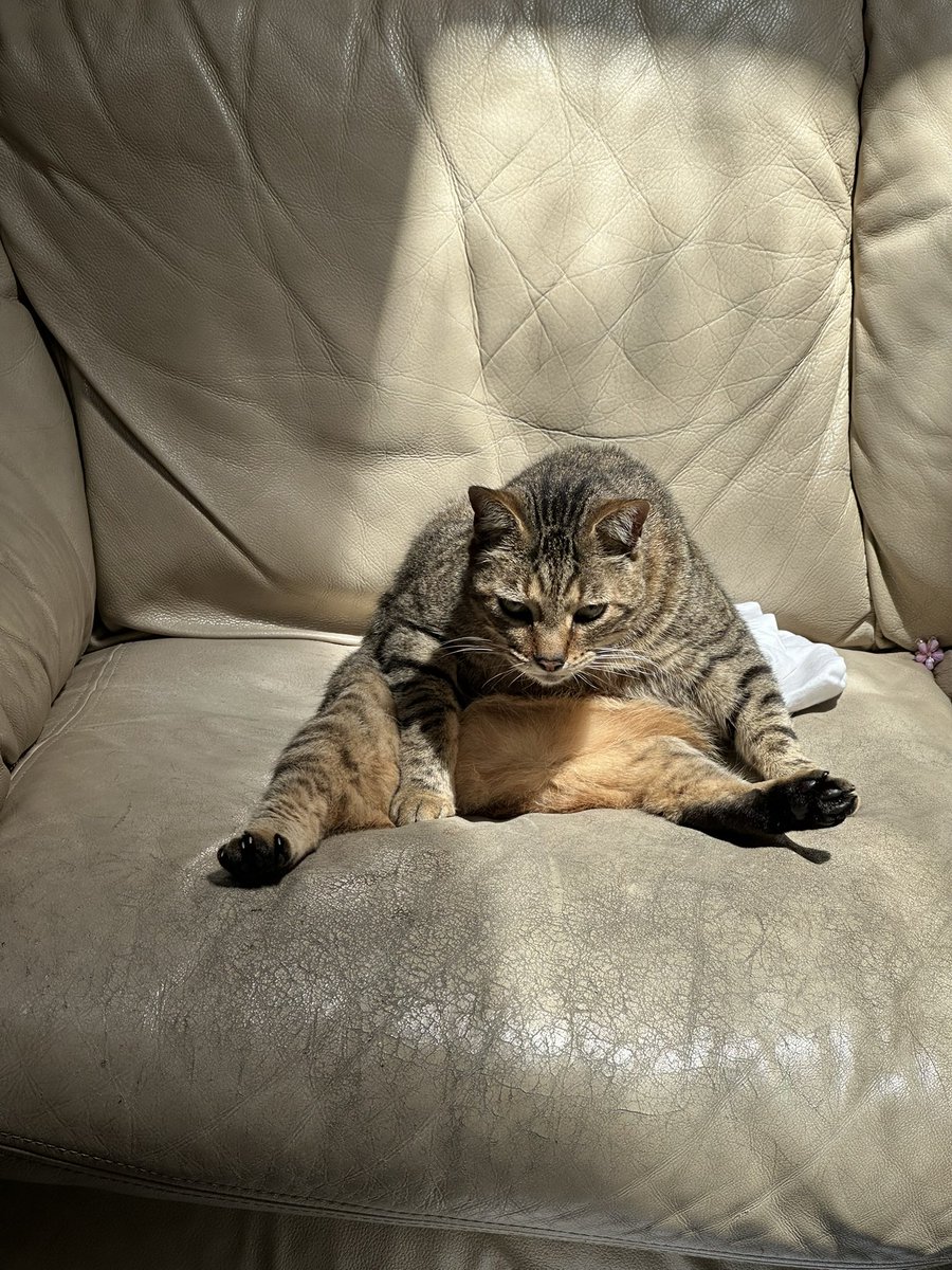 sabrina ★ tweet media