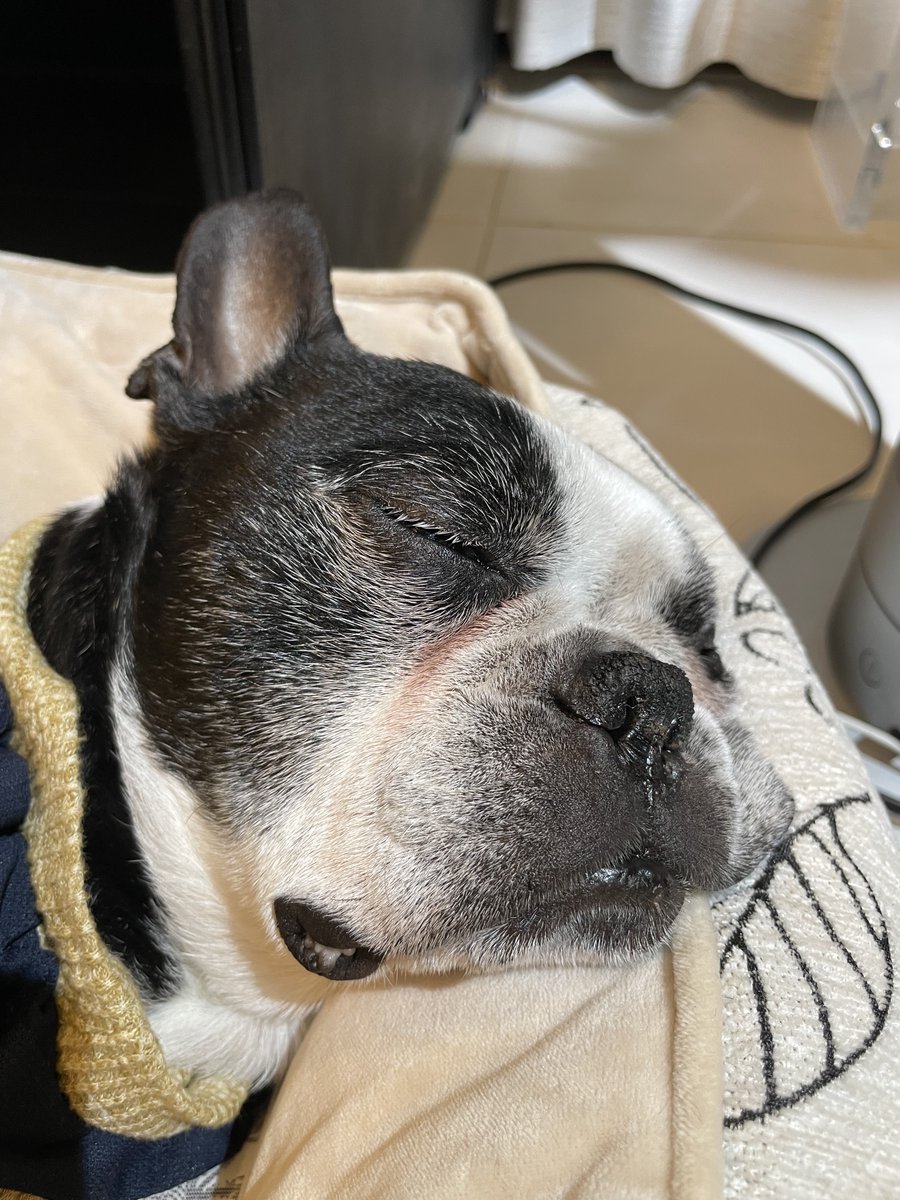 Shigetsu Takayama tweet media