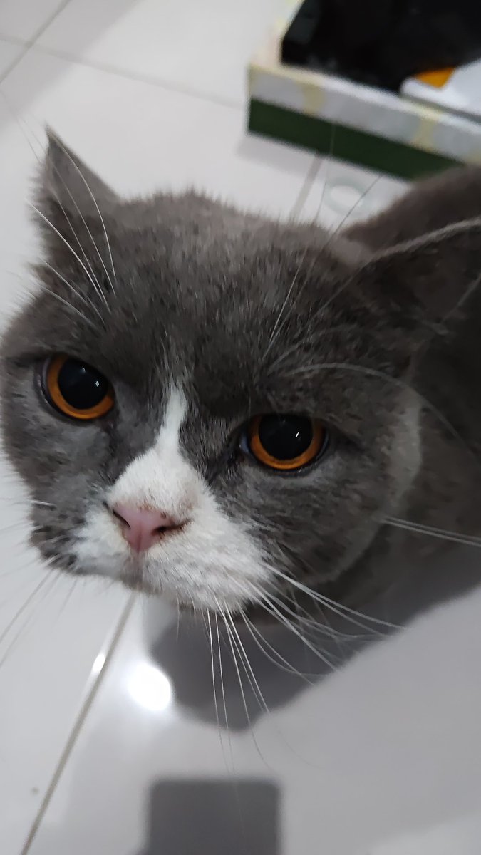 arellllllllllllll tweet media