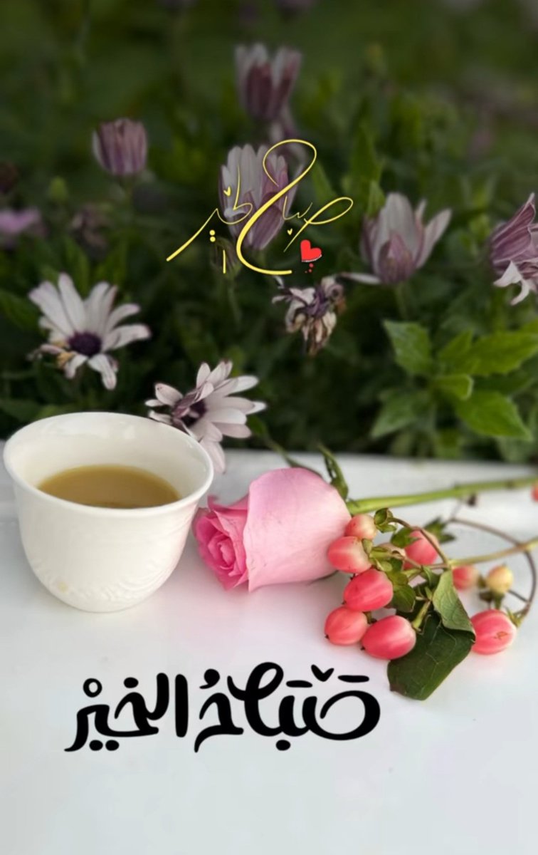 🦋الهنائيـّـة🦋💙 tweet media
