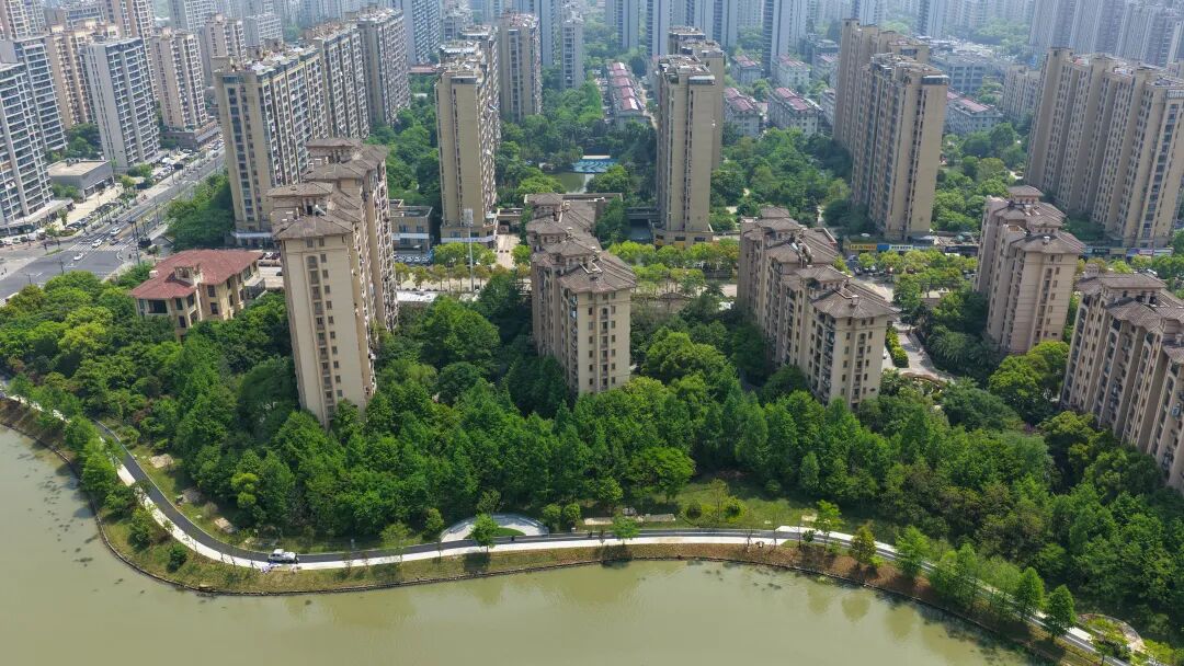 InJiaojiang tweet media