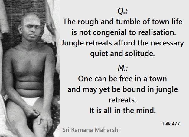 Truth Alone 🇮🇳 tweet media