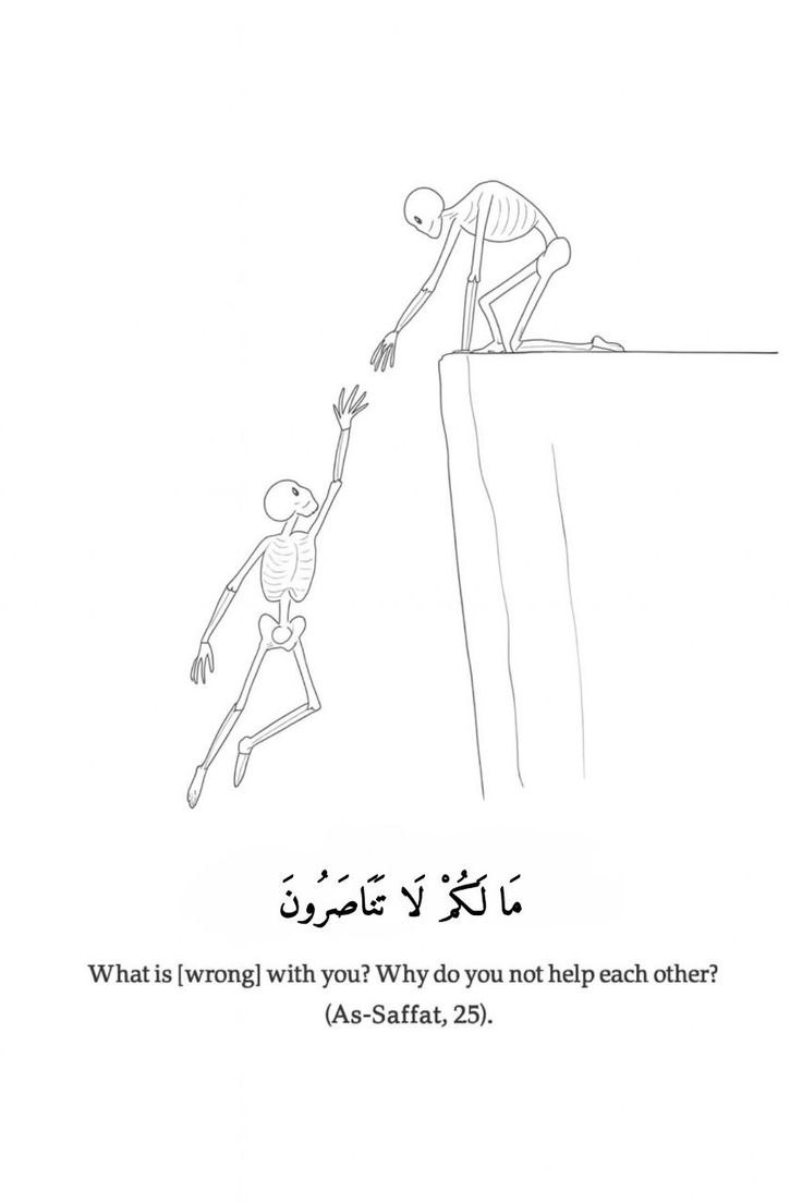 القرآن الکریم tweet media