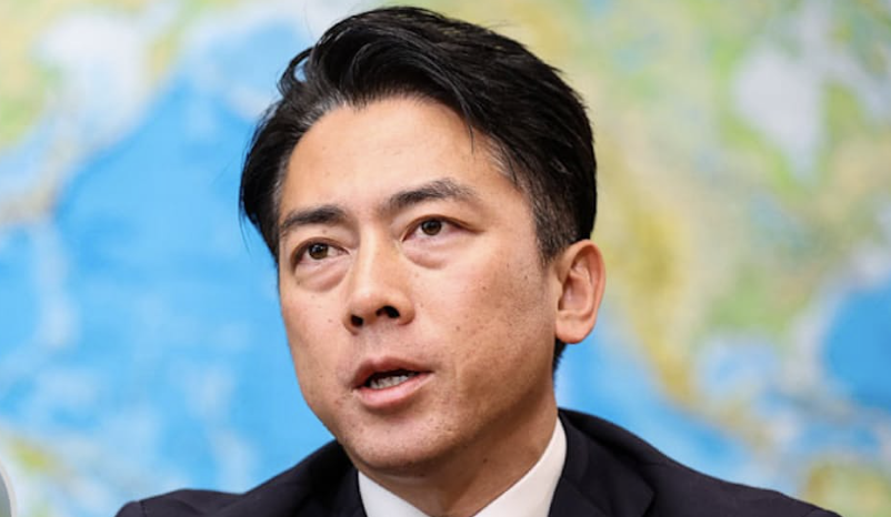 藤井セイラ tweet media