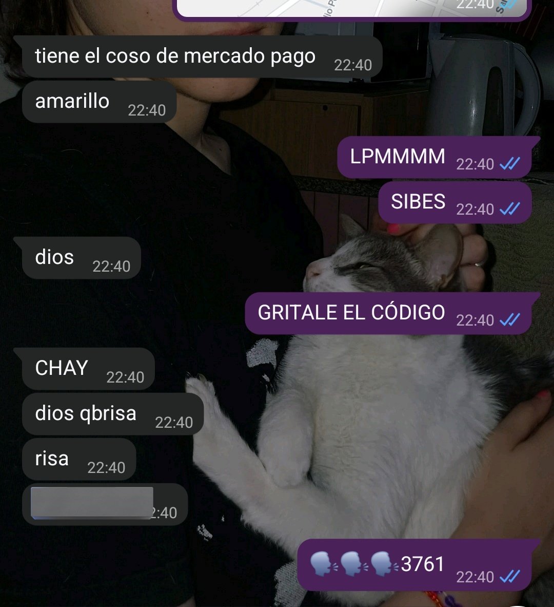 ࣪28/01 ⊬ tweet media