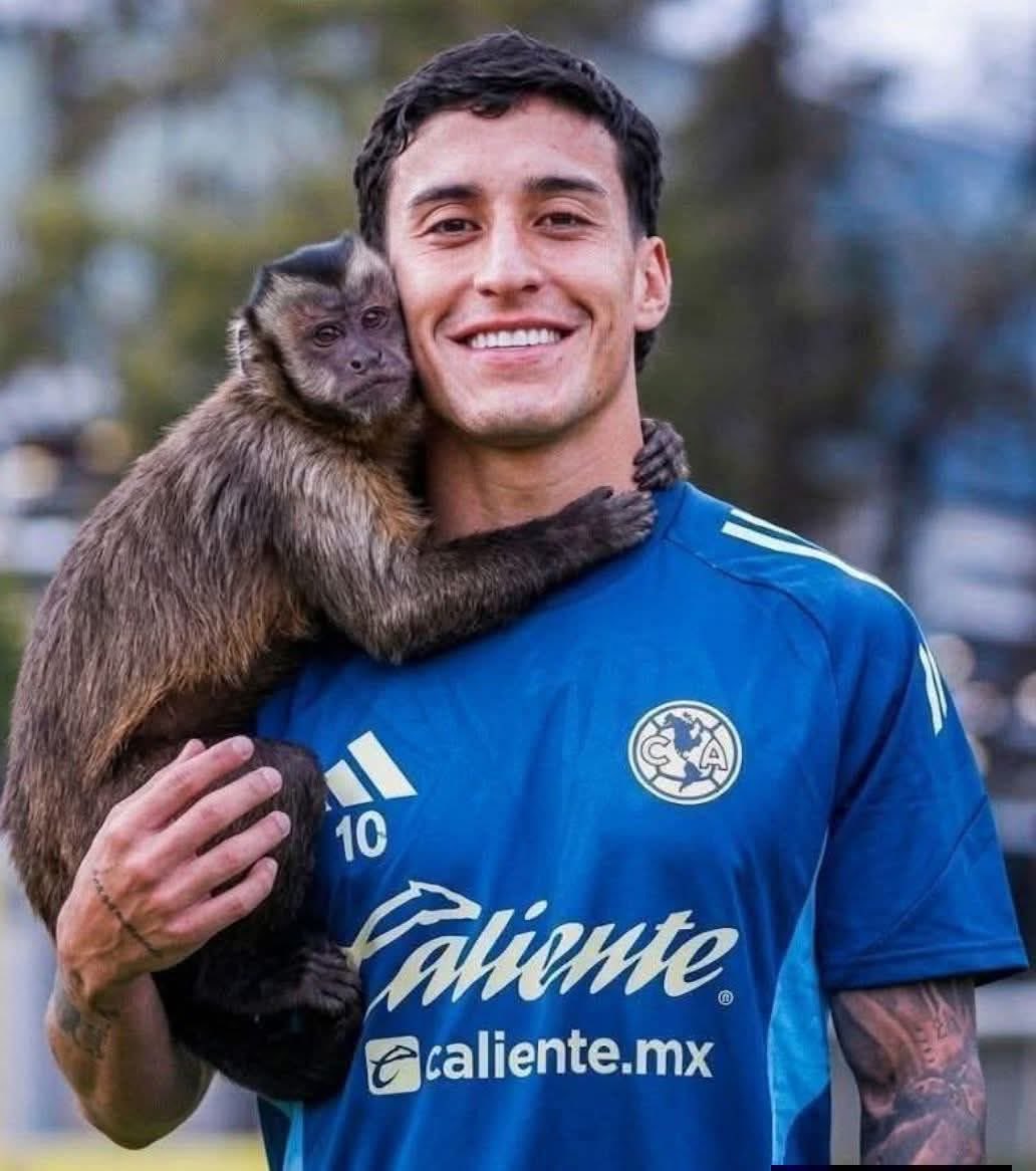 🤠El mejor Catador de peleas callejeras tweet media