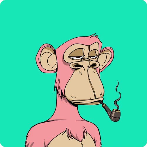 Baron von Red 🟦🟥 tweet media