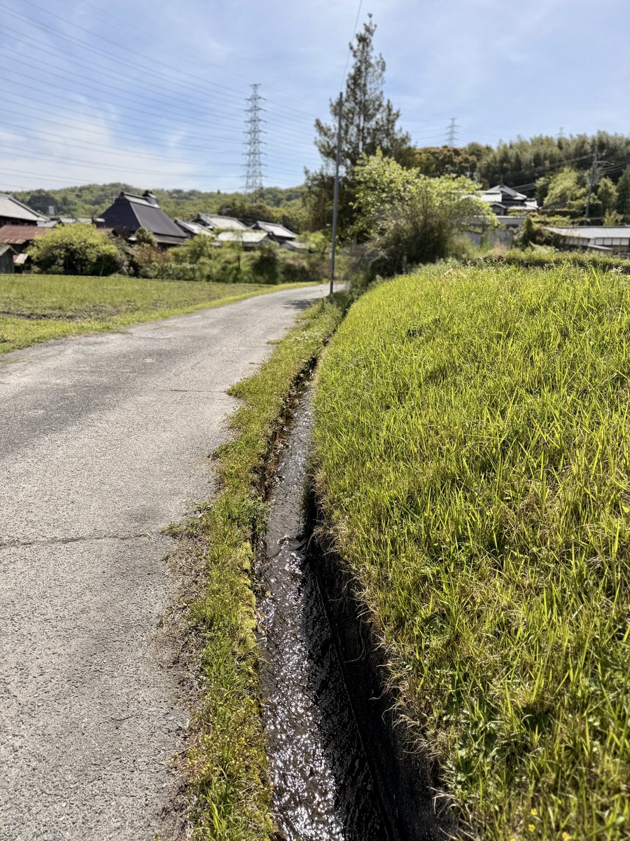 神楽坂つむり tweet media