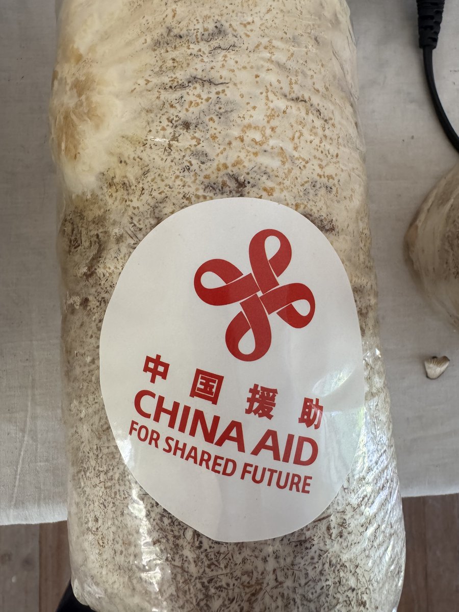 Chinese Embassy in Fiji tweet media