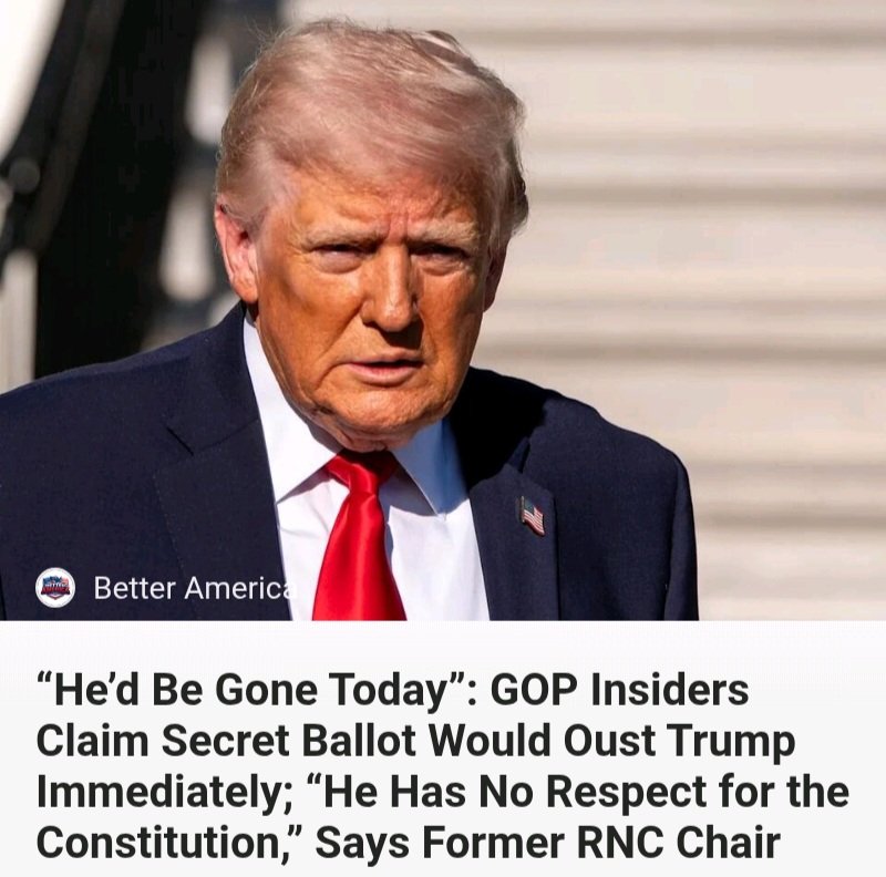 PerryWhiteE29's tweet image. #GOP am want #DonaldTrump removed cuz him am opposed to #USconstitution