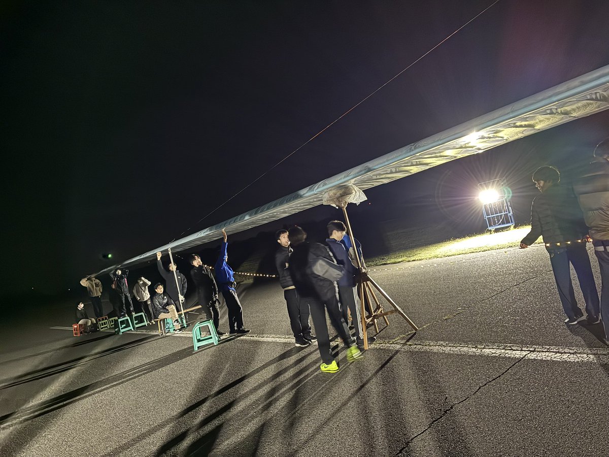 ソロモン tweet media