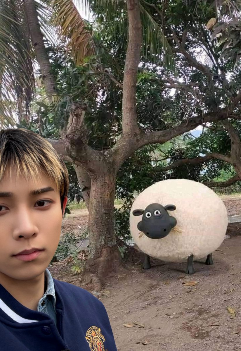 𝖠ʑꪱᜒɣ SHOTTIES tweet media