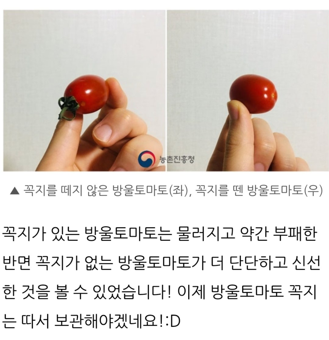 빵이먹고싶어 tweet media