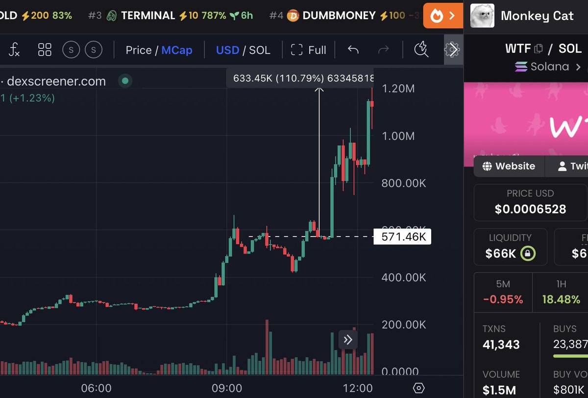 💎GEM INSIDER💎 tweet media