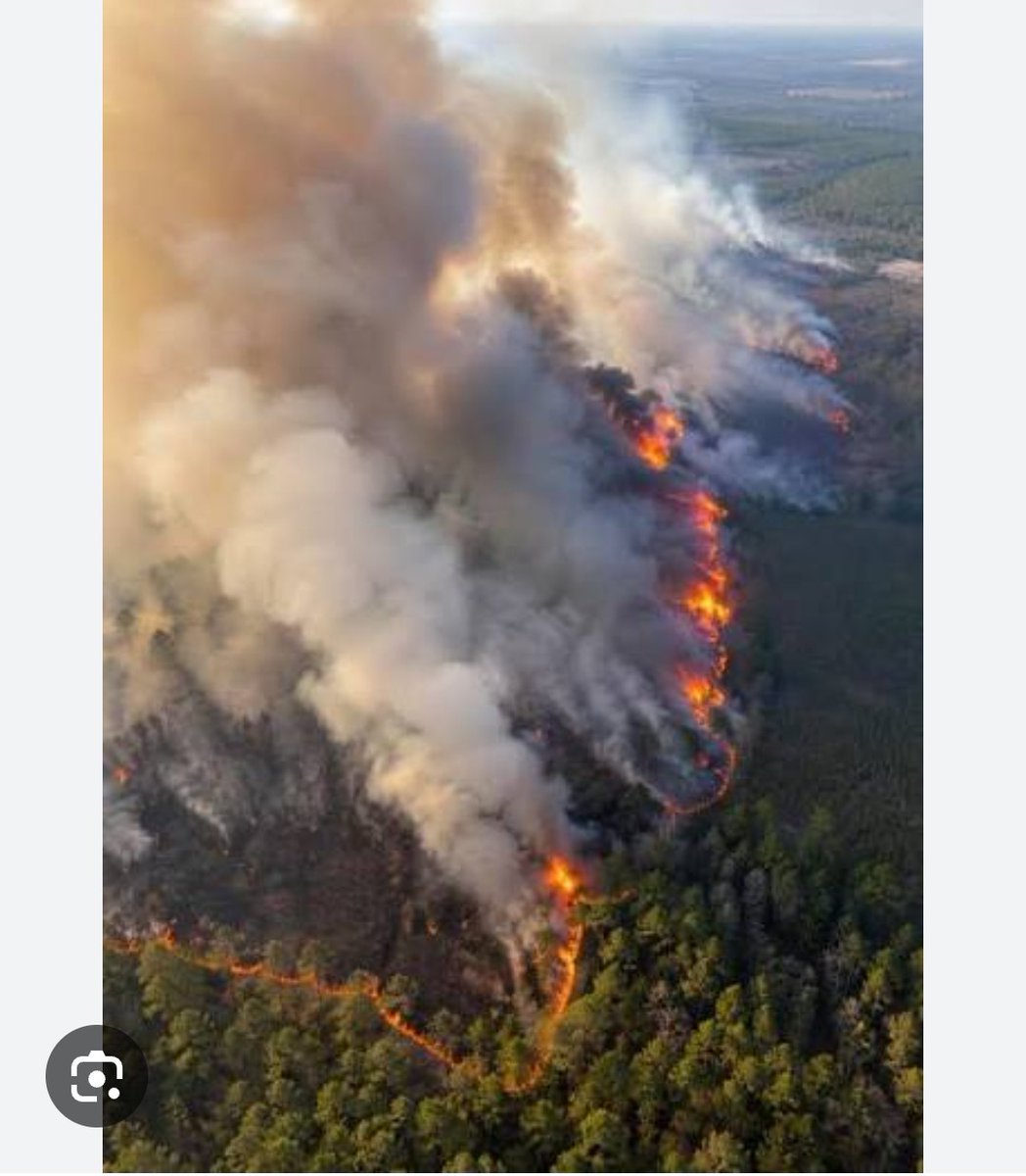 movielover93582's tweet image. Schools closed, mandatory evacuations issued amid 1,500-acre wildfire in Brantley County
As of Tuesday afternoon, the Brantley County Highway 82 Fire was 1,500 acres and 0% contained.
#Wildfire #Georgia