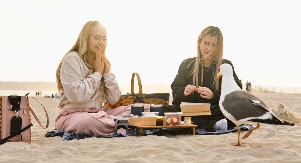 Ann 🐣 tweet media