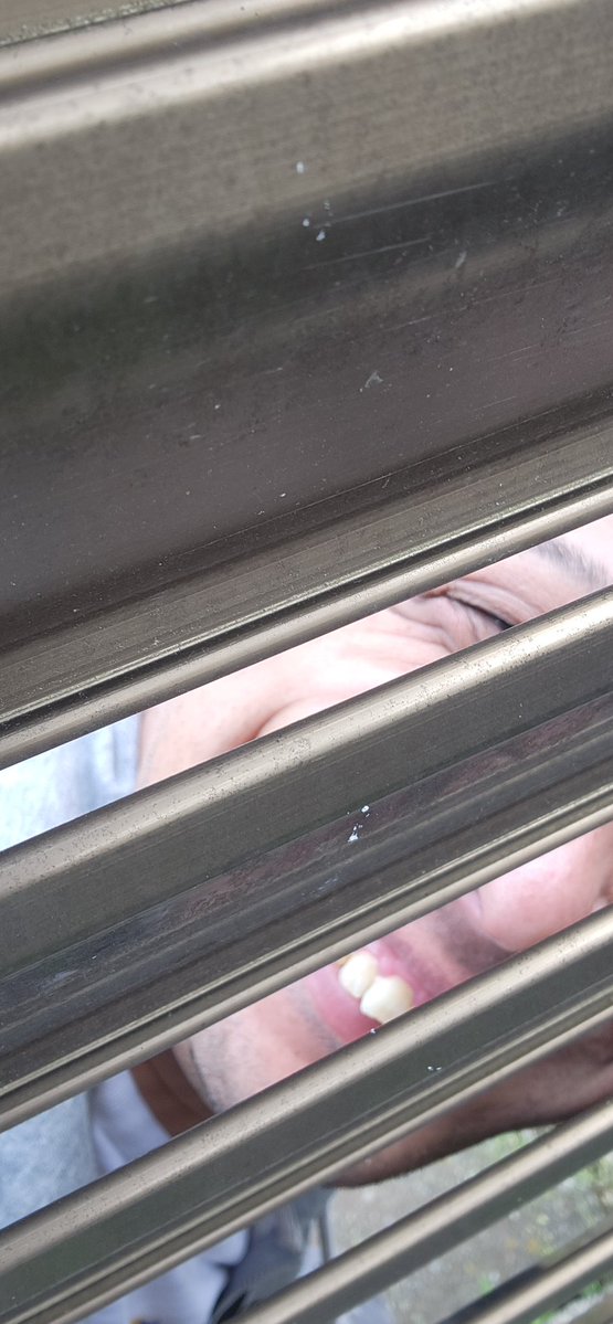 トム・ブラウンみちお🐸 tweet media