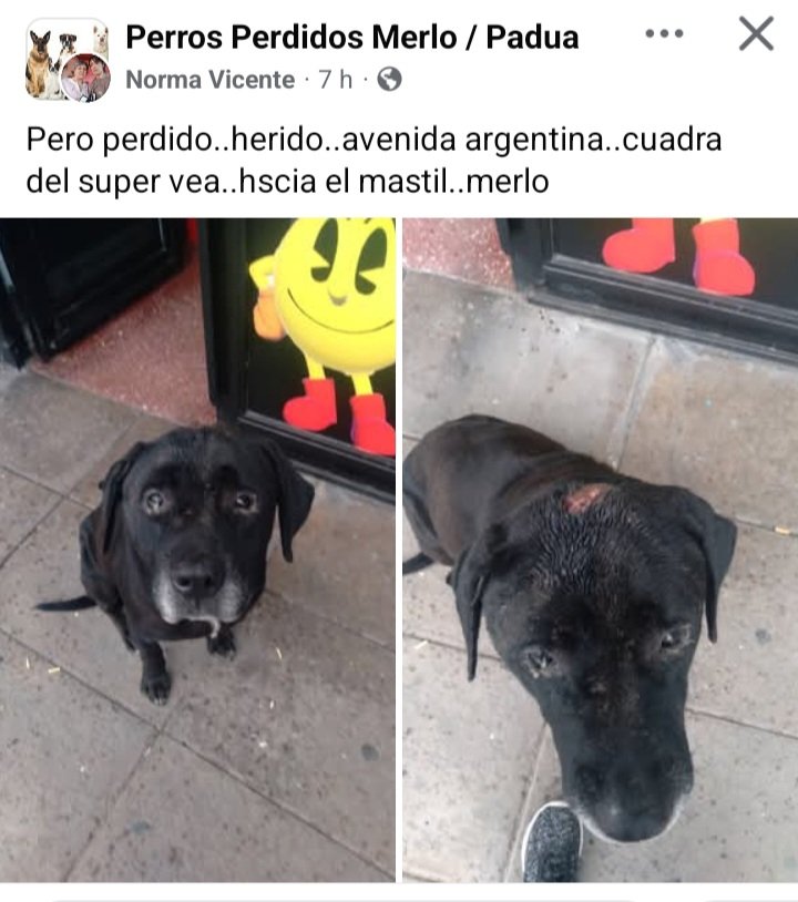 Loading 🇦🇷☀️ tweet media