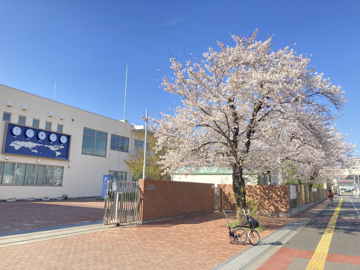 BromptonToei's tweet photo. #これを見た人は2026年に撮った桜の写真を載せる

🌸富士見小学校(埼玉県・上尾市)

⏰世界時計に見入ってしまう

#ブロンプトン https://t.co/kfX7qsXjlB