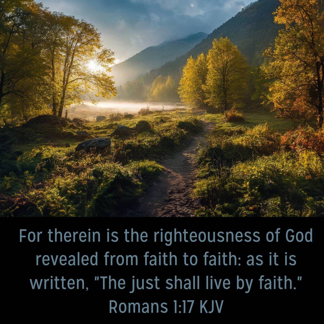 Romans 1:17 KJV
For therein is the righteousness of God revealed from faith to faith: as it is written, "The just shall live by faith." 

bible.com/bible/1/rom.1.…