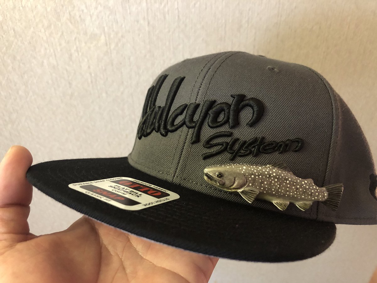 zisakukebari59's tweet photo. 続きましてFishmanとHALCYON SYSTEM のキャップ🧢どちらにもKIMAGUREさんのトラウトブローチを装備‼️これによって自作毛バリのモチベーションが大幅に上がったZE‼️
#Fishman #HALCYONSYSTEM #KIMAGURE #トラウトブローチ https://t.co/OwA5vu0hiM