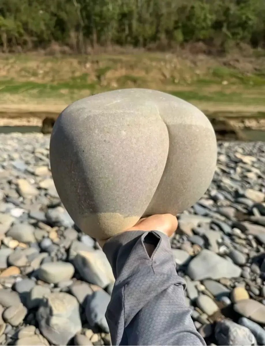 郑涵蕾CW tweet media