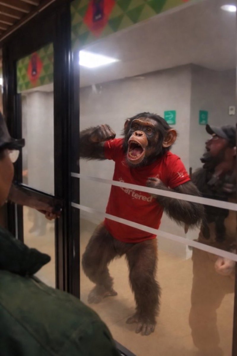 ClubAmerica🦅 tweet media