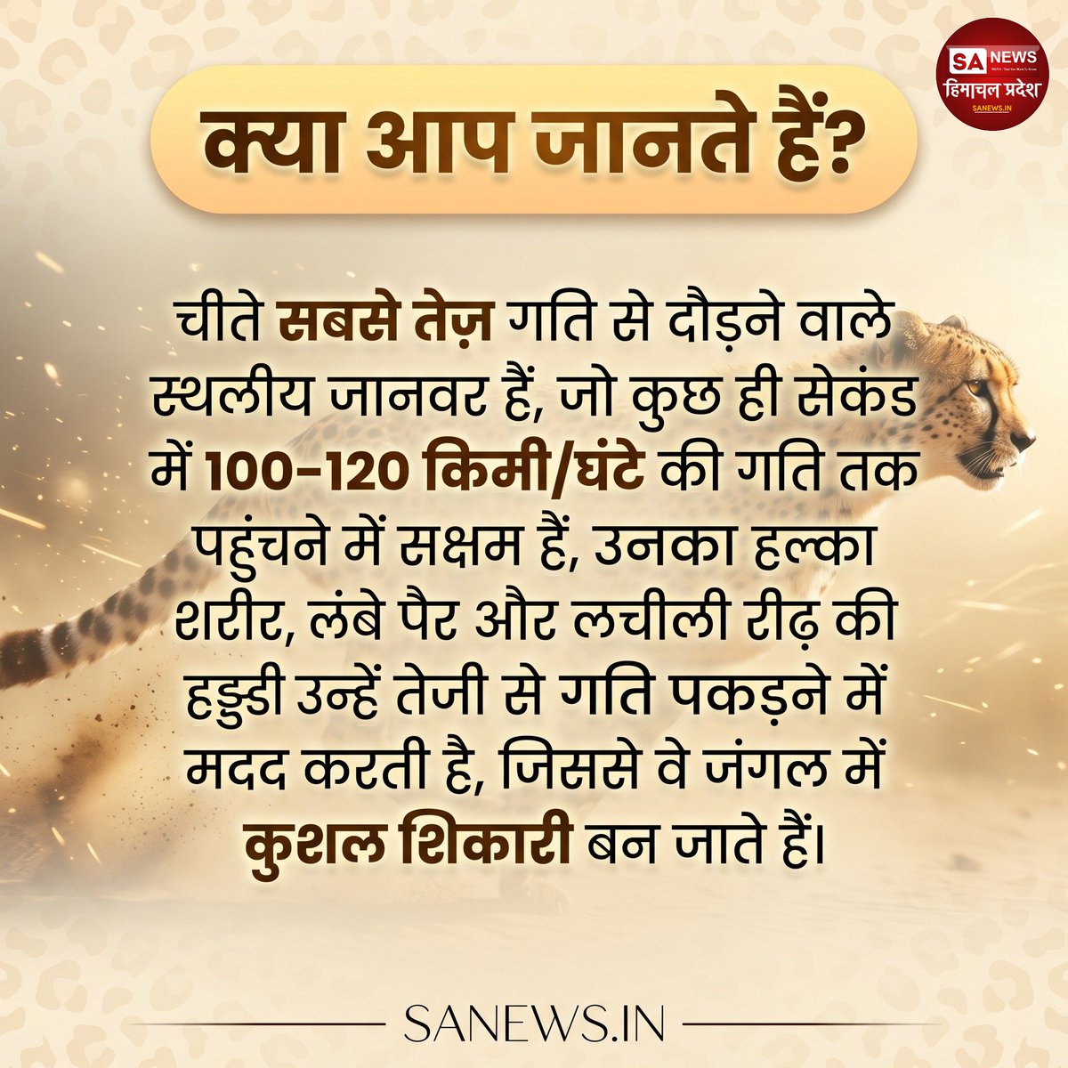 sanewshimachal's tweet image. क्या आप जानते हैं?

#DidYouKnow  #cheetah  #WildlifeFacts  #animalloversrescue  #NatureFacts  #FastestAnimal  #amazingnature #sanewshimachalpradesh