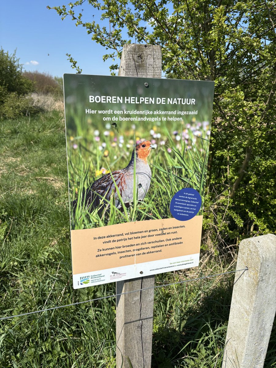 Tante Anna tweet media