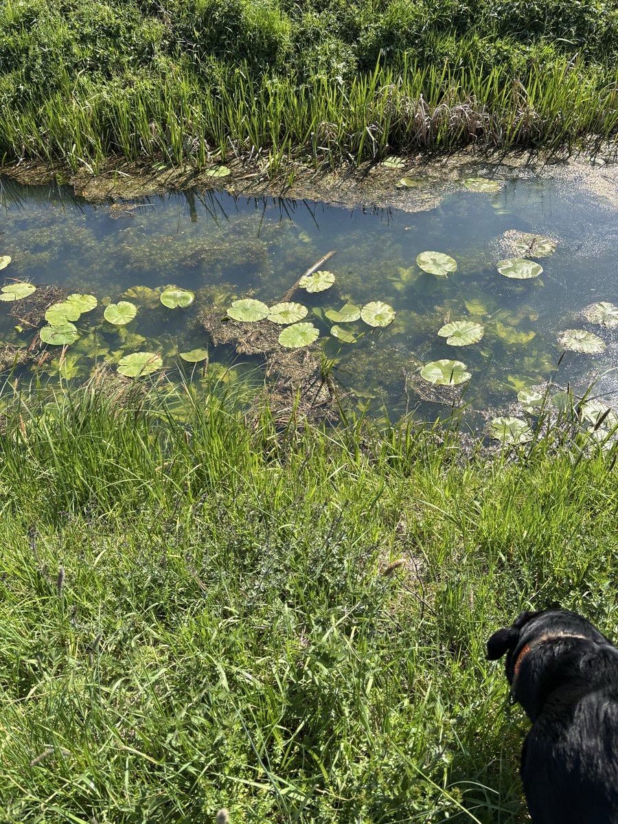 Tante Anna tweet media