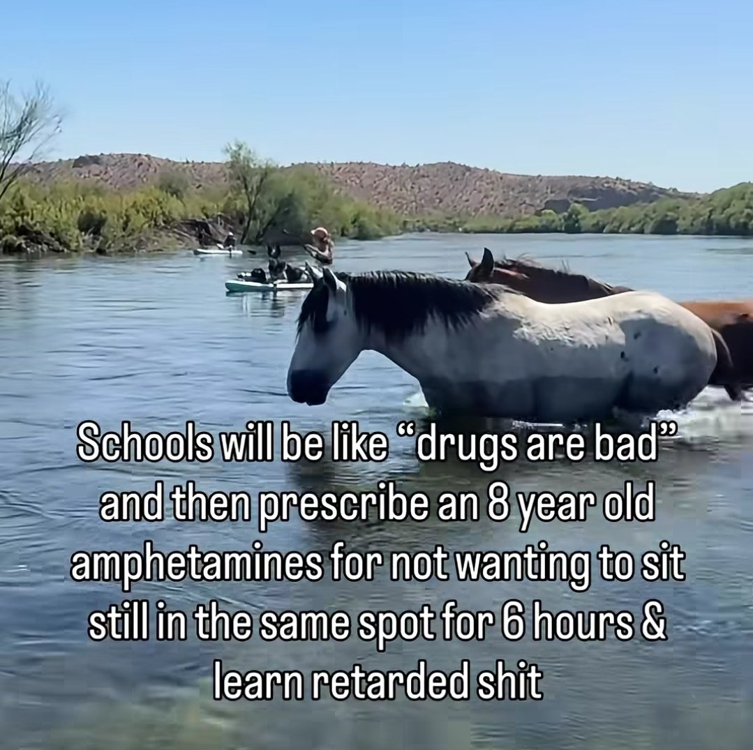 ₿en Wehrman tweet media