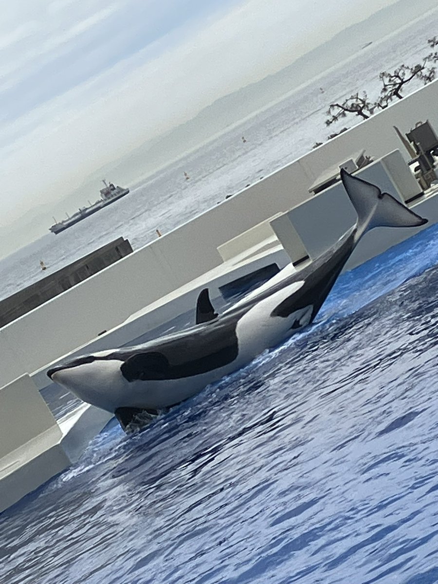 キャプテン・ラティハート垢 tweet media