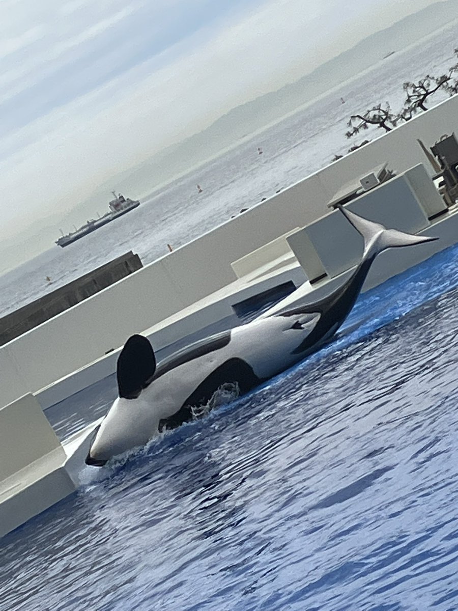 キャプテン・ラティハート垢 tweet media