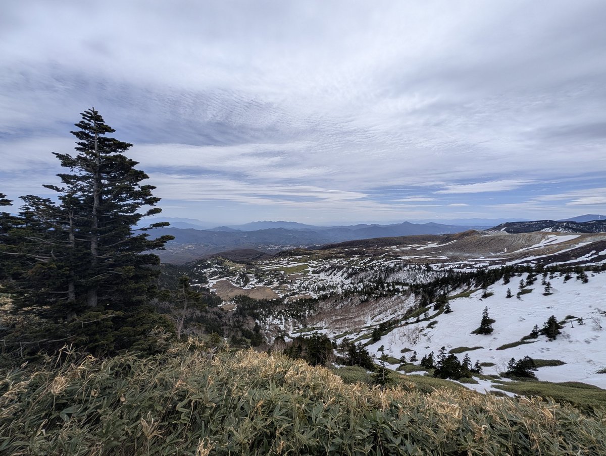 ばぅ→ tweet media