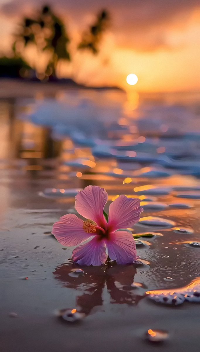 Blue Sapphire tweet media