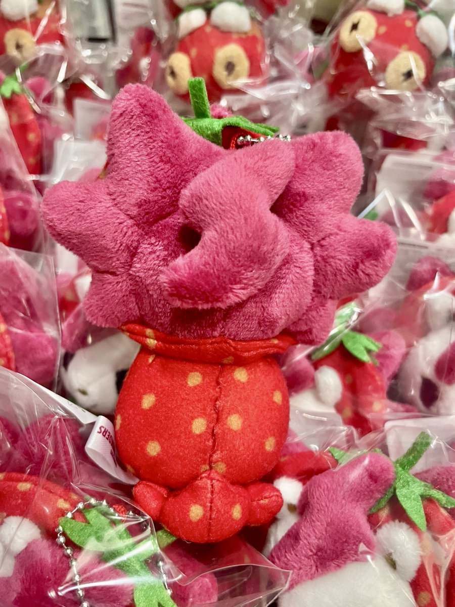 【公式】ロウル tweet media