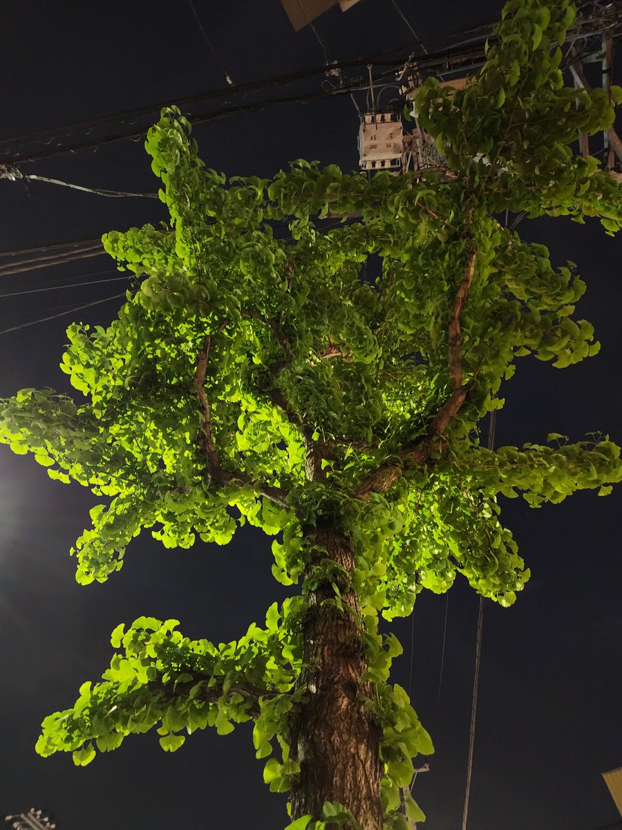 飲んべえ tweet media