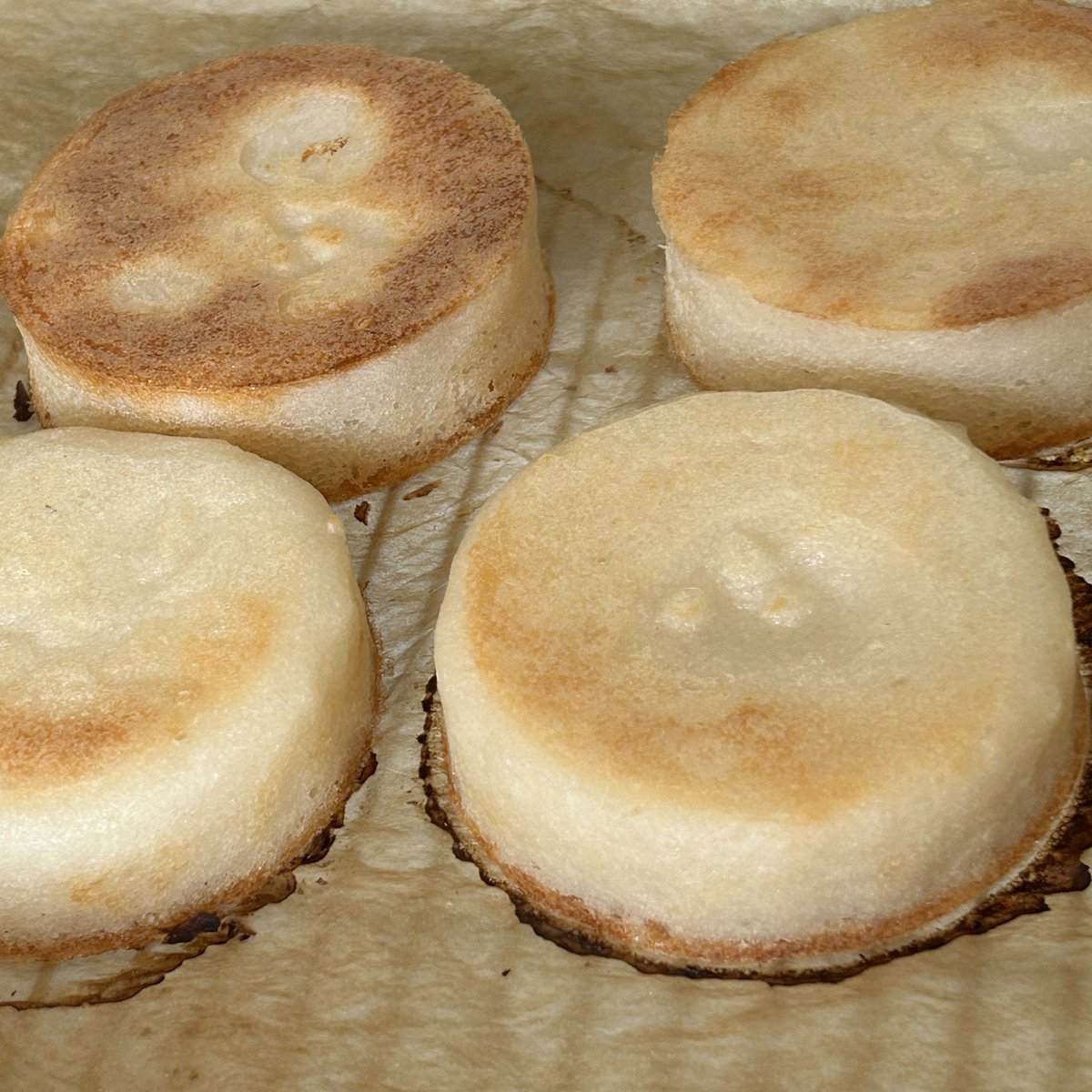 マスジマトモコ tweet media