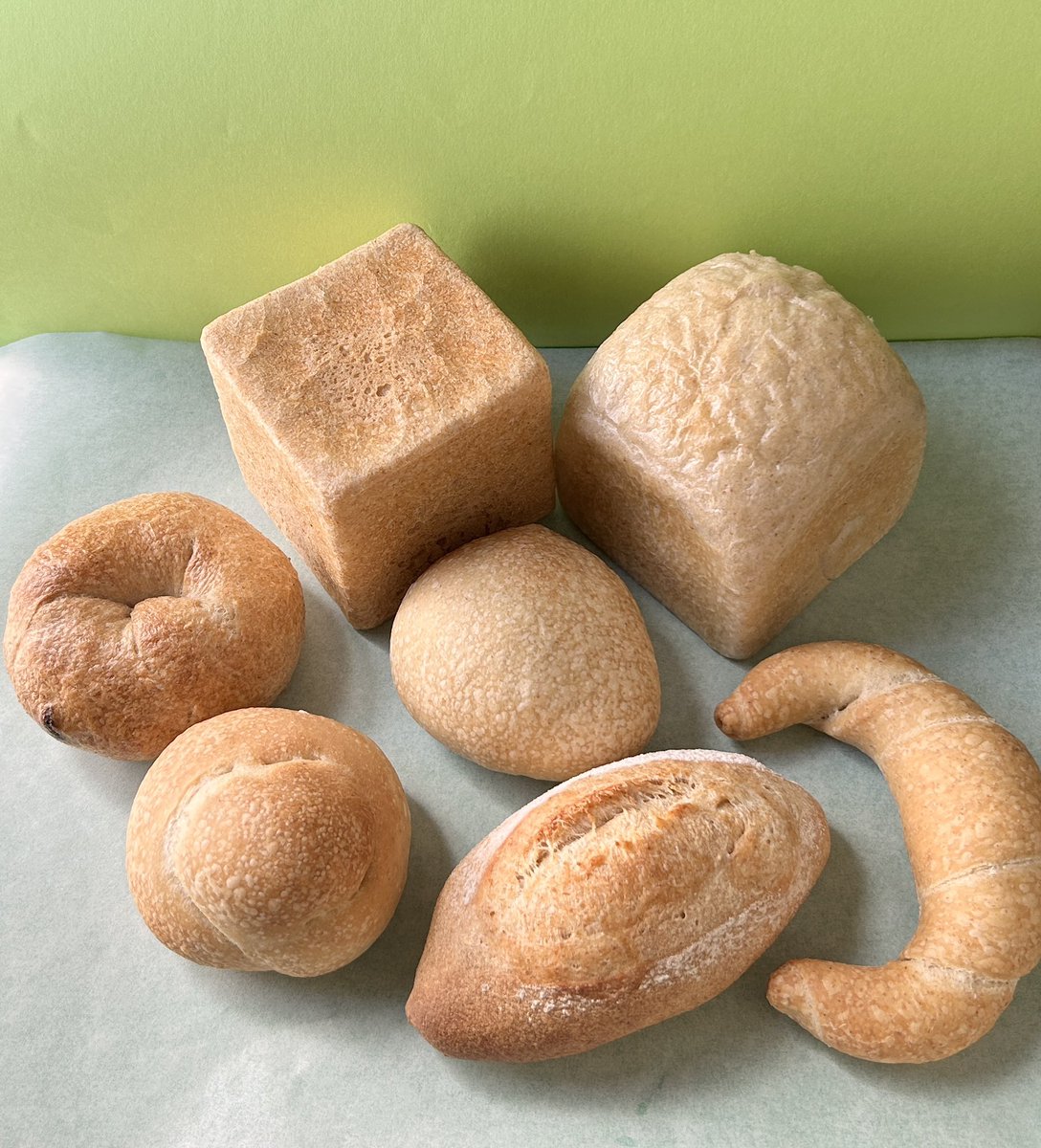 マスジマトモコ tweet media