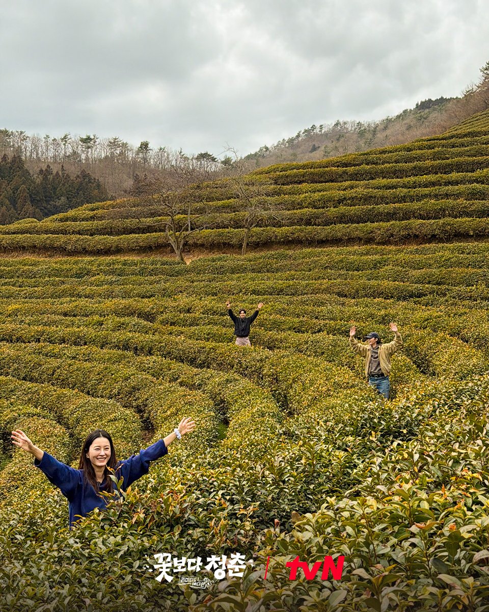 ⚠️당일치기 여행 아닙니다⚠️
단벌신사 꽃청춘
(경) 무사 출발, 무사 귀환! (축)

여행은 리미티드, 낭만은 언리미티드🌸
<꽃보다 청춘 : 리미티드 에디션>
5/3 [일] 저녁 7:30 첫 방송 tvN

#tvN #꽃보다청춘리미티드에디션
#정유미 #박서준 #최우식
#즐거움엔20tvN #스트리밍은TVING