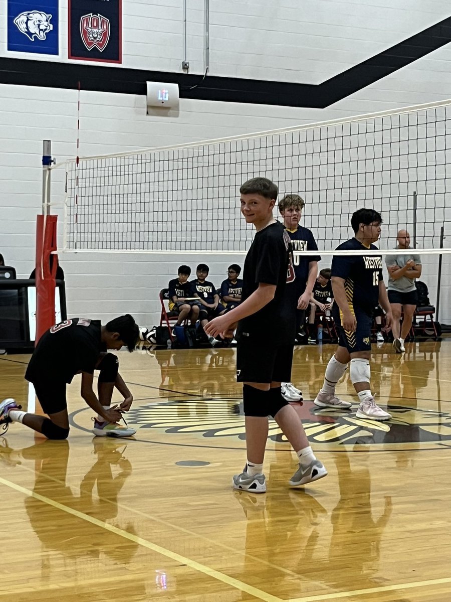 Lauren Lysy tweet media