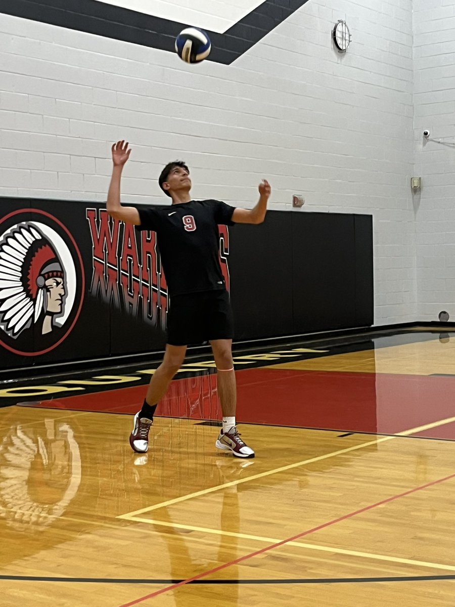 Lauren Lysy tweet media