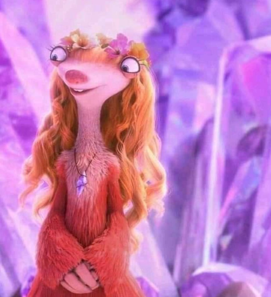 hipócrita de meias tweet media